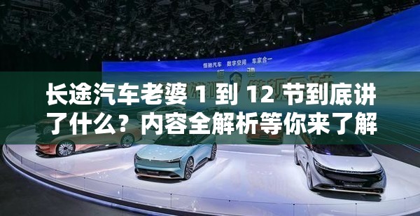 长途汽车老婆 1 到 12 节到底讲了什么？内容全解析等你来了解