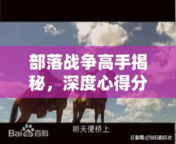 部落战争高手揭秘，深度心得分享与策略探讨，你能否成为战场霸主？