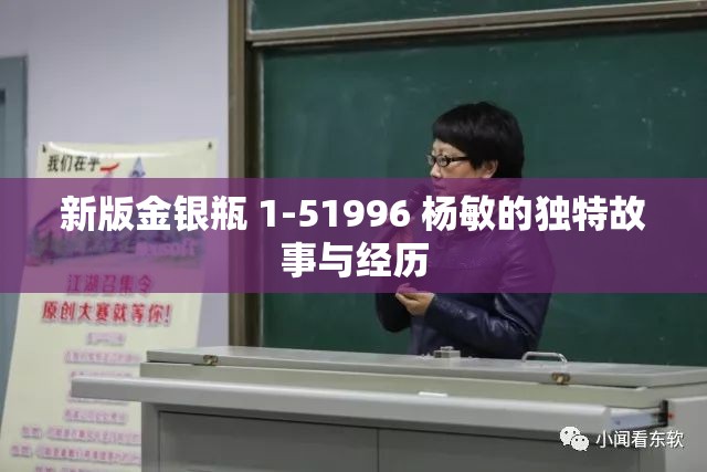 新版金银瓶 1-51996 杨敏的独特故事与经历