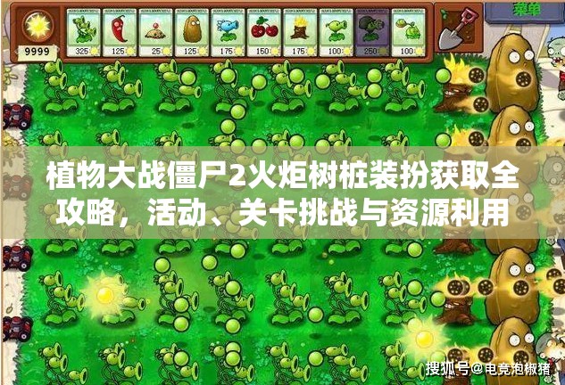 植物大战僵尸2火炬树桩装扮获取全攻略，活动、关卡挑战与资源利用详解