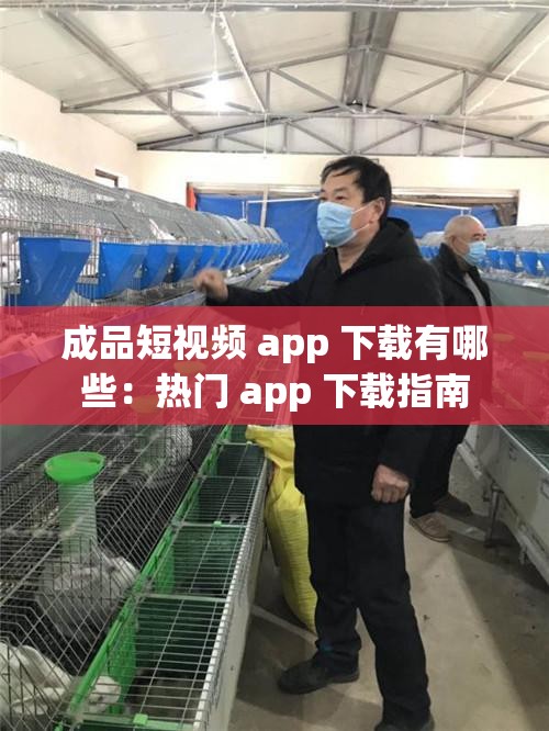 成品短视频 app 下载有哪些：热门 app 下载指南