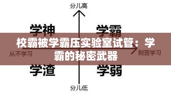 校霸被学霸压实验室试管：学霸的秘密武器