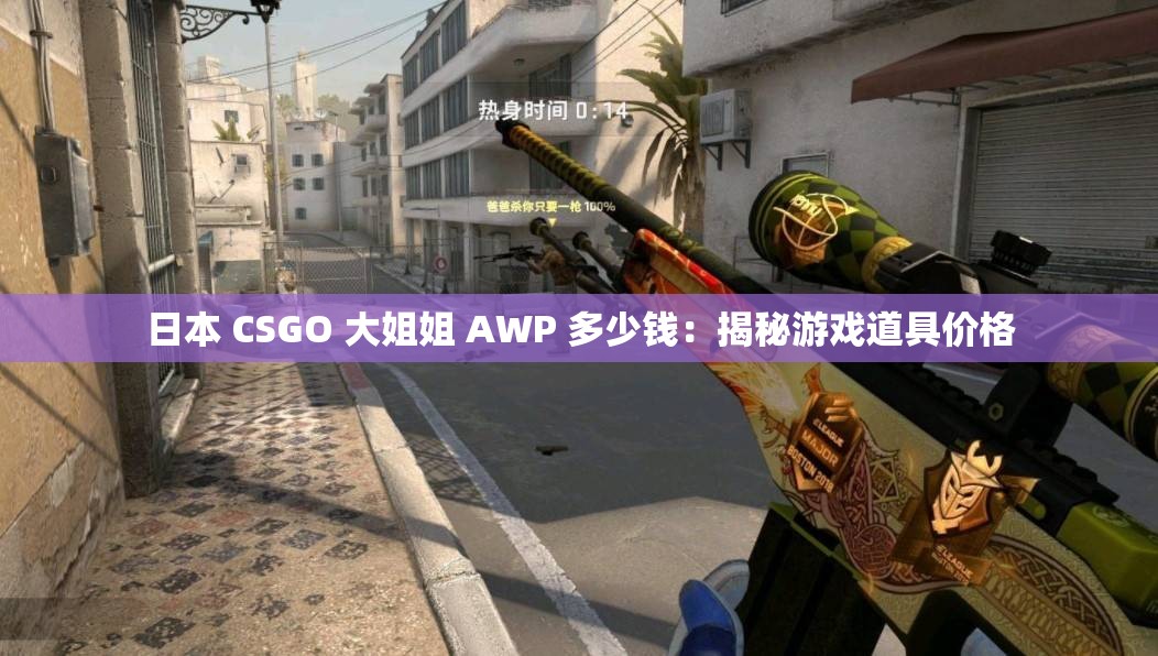 日本 CSGO 大姐姐 AWP 多少钱：揭秘游戏道具价格