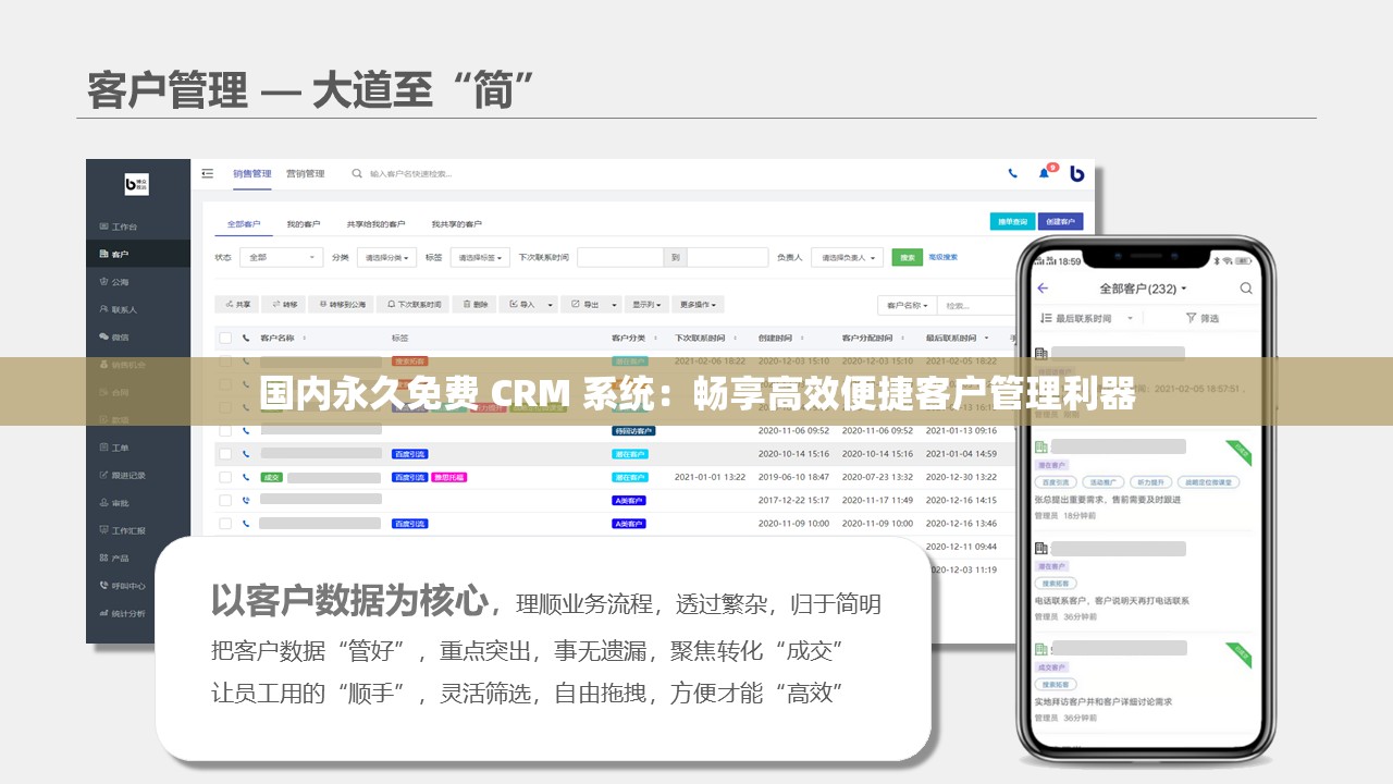 国内永久免费 CRM 系统：畅享高效便捷客户管理利器