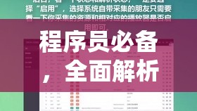 程序员必备，全面解析安装与配置流程，打造无与伦比的极致游戏体验攻略