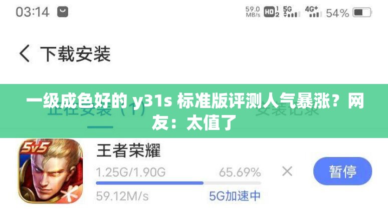 一级成色好的 y31s 标准版评测人气暴涨？网友：太值了