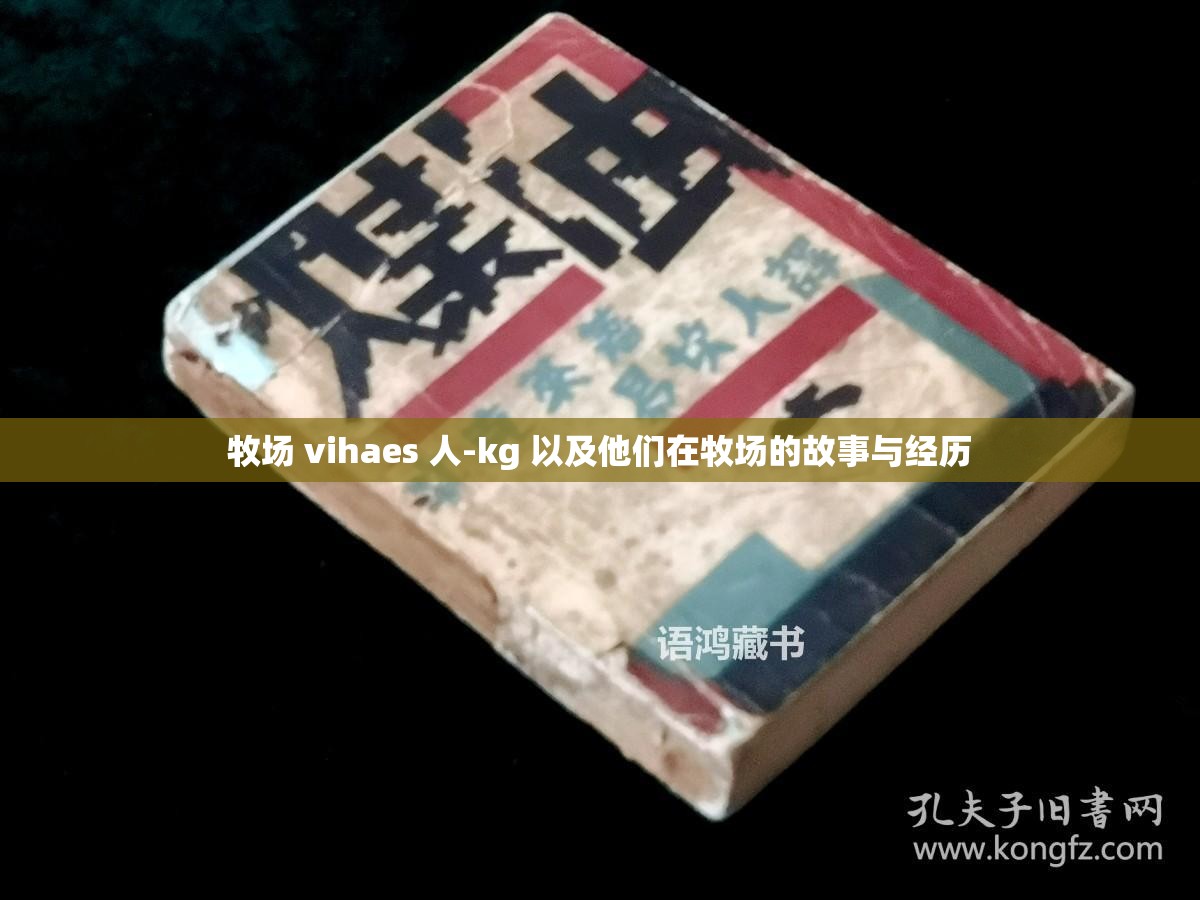 牧场 vihaes 人-kg 以及他们在牧场的故事与经历