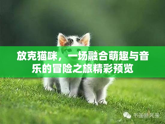 放克猫咪，一场融合萌趣与音乐的冒险之旅精彩预览