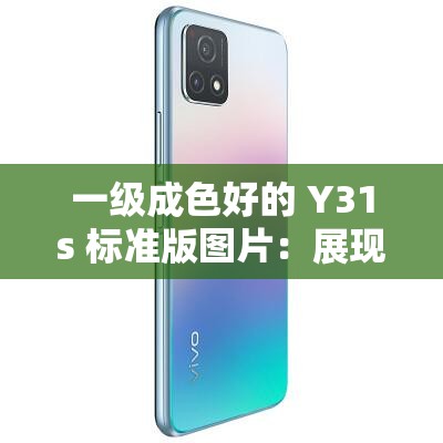 一级成色好的 Y31s 标准版图片：展现卓越品质与清晰细节