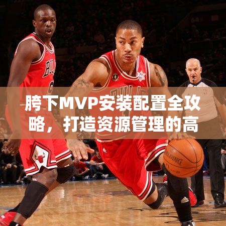 胯下MVP安装配置全攻略，打造资源管理的高效操作指南