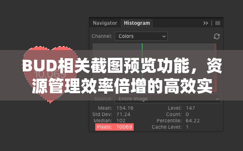 BUD相关截图预览功能，资源管理效率倍增的高效实用工具