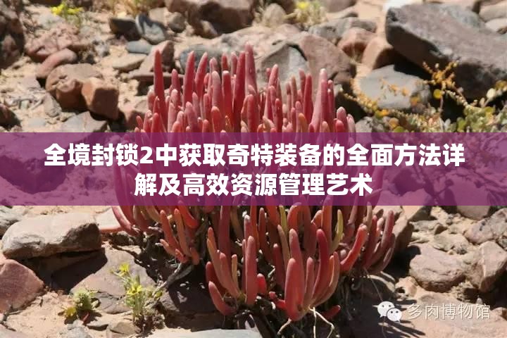 全境封锁2中获取奇特装备的全面方法详解及高效资源管理艺术