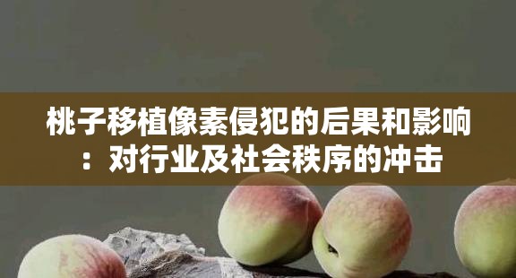 桃子移植像素侵犯的后果和影响：对行业及社会秩序的冲击