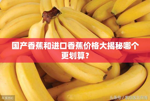 国产香蕉和进口香蕉价格大揭秘哪个更划算？