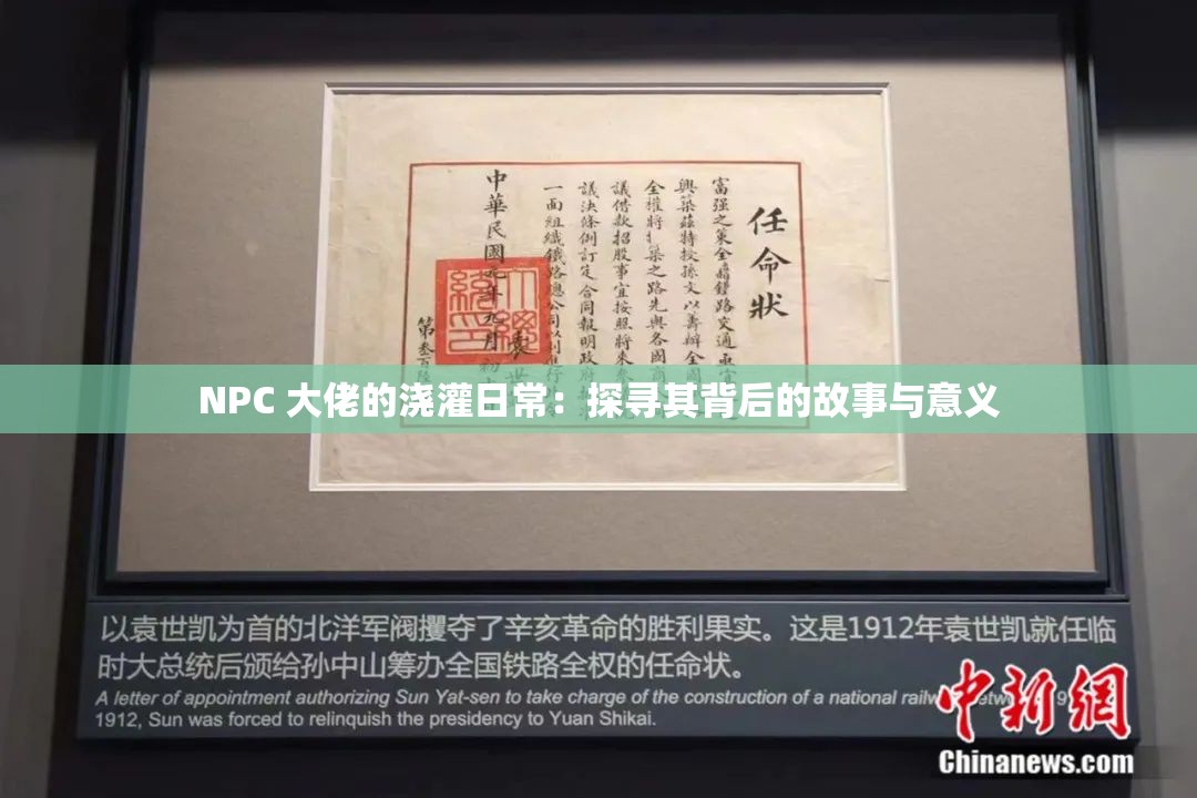 NPC 大佬的浇灌日常：探寻其背后的故事与意义