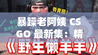 暴躁老阿姨 CSGO 最新集：精彩游戏对决不容错过