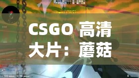 CSGO 高清大片：蘑菇已升级完毕震撼来袭