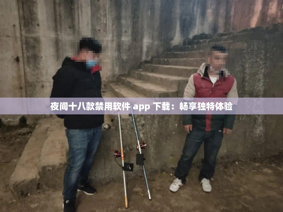 夜间十八款禁用软件 app 下载：畅享独特体验