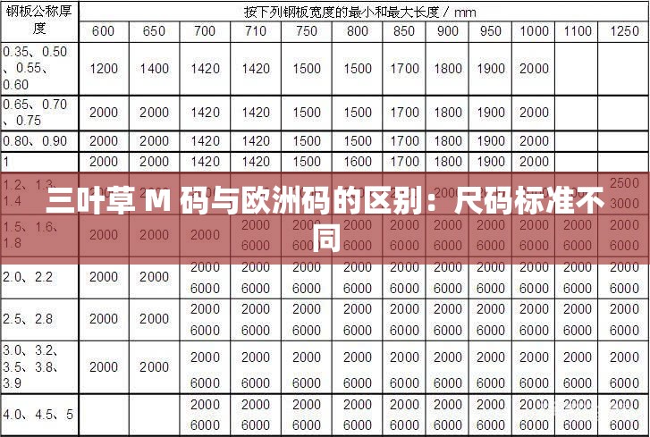 三叶草 M 码与欧洲码的区别：尺码标准不同